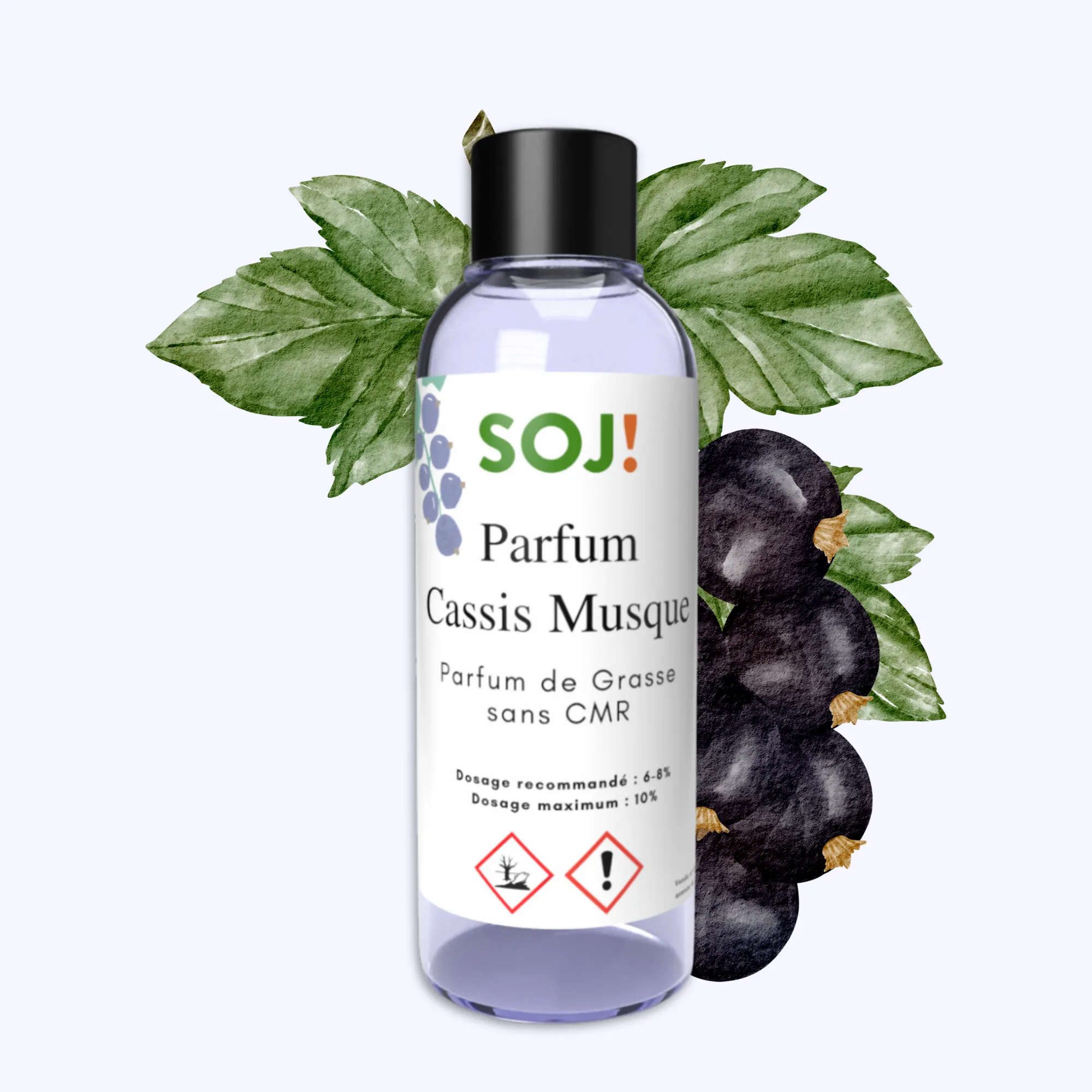 Parfum pour bougies – Cassis musqué