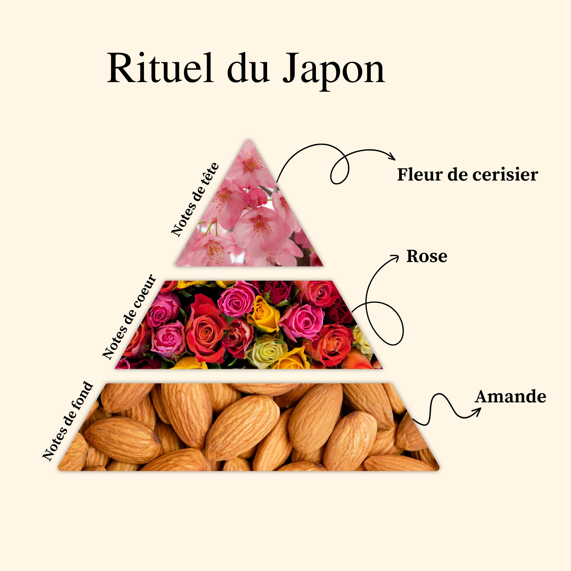 Les pyramides olfactives des parfums