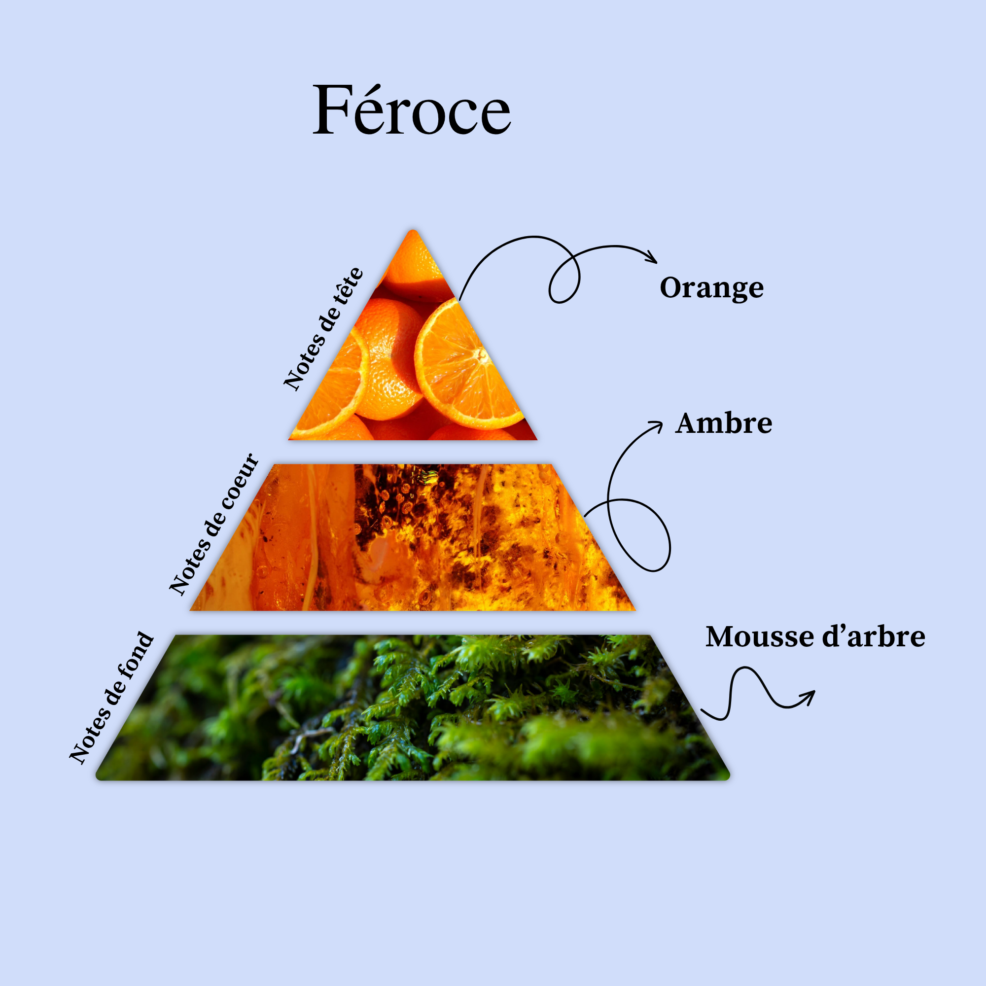 Parfum pour bougies &ndash; F&eacute;roce &mdash; vue 2