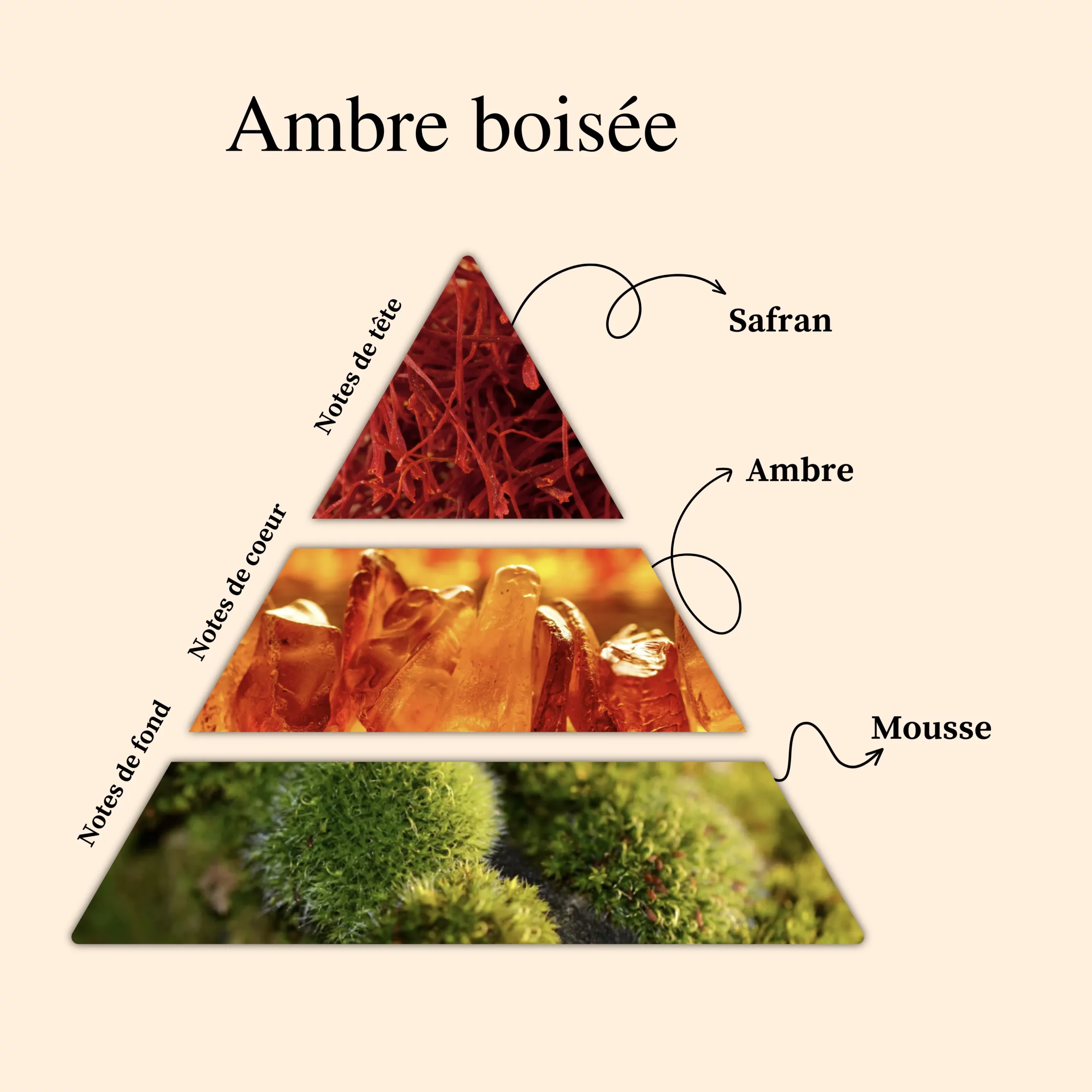 Parfum pour bougies &ndash; Ambre bois&eacute; &mdash; vue 2