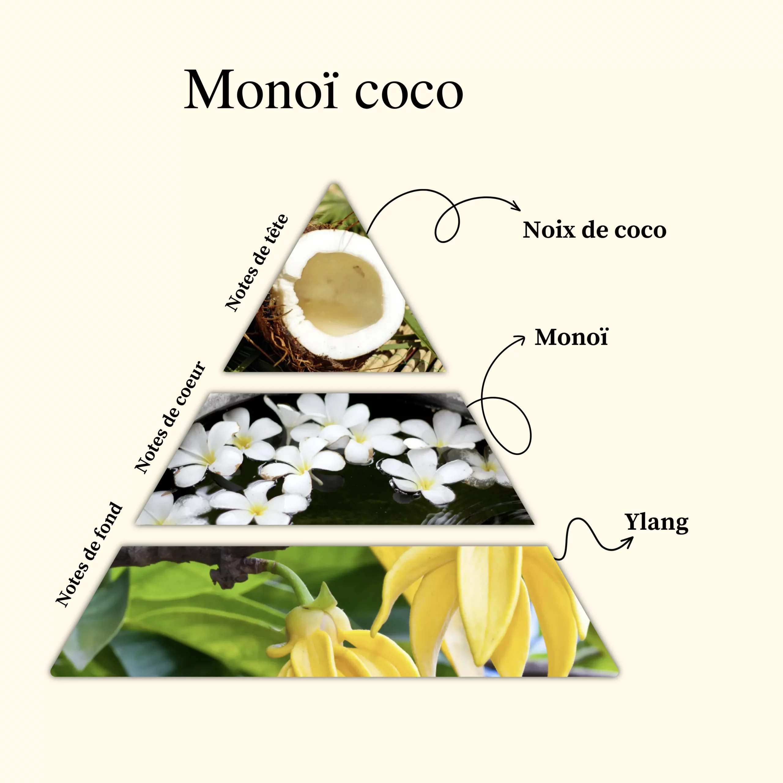 Parfum pour bougies &ndash; Mono&iuml; coco &mdash; vue 2