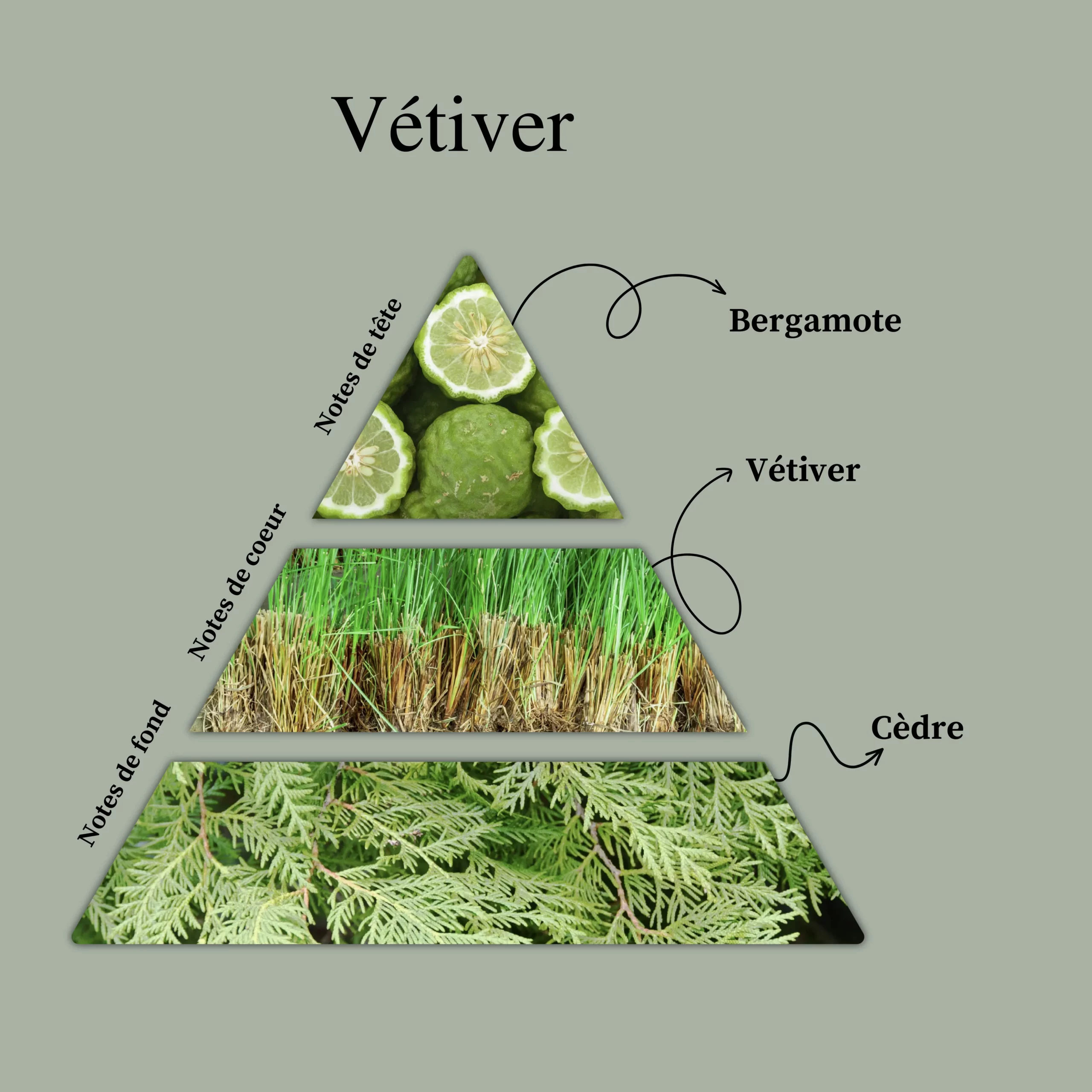 Parfum pour bougies &ndash; V&eacute;tiver &mdash; vue 2
