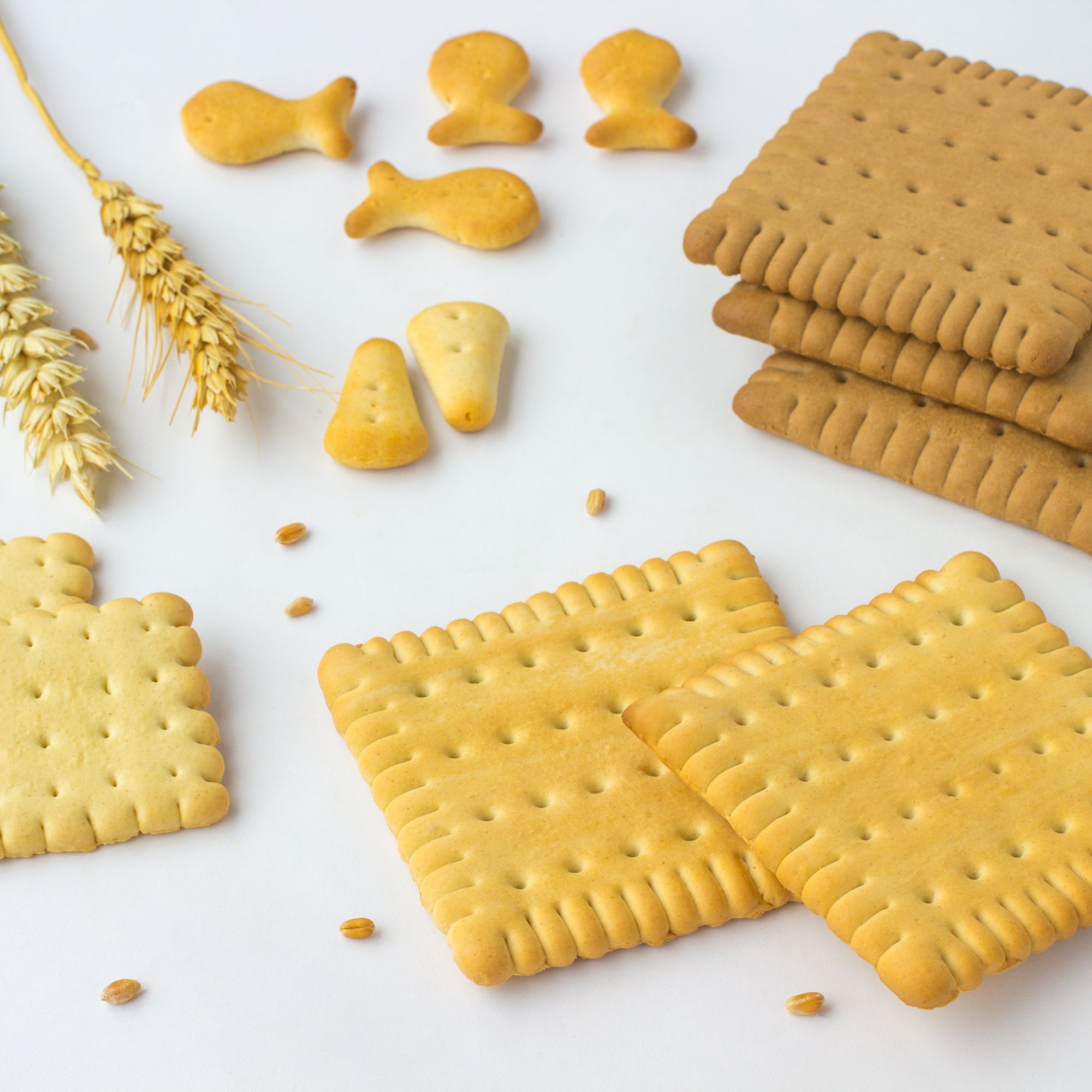 Parfum pour bougies &ndash; Biscuit &mdash; vue 3