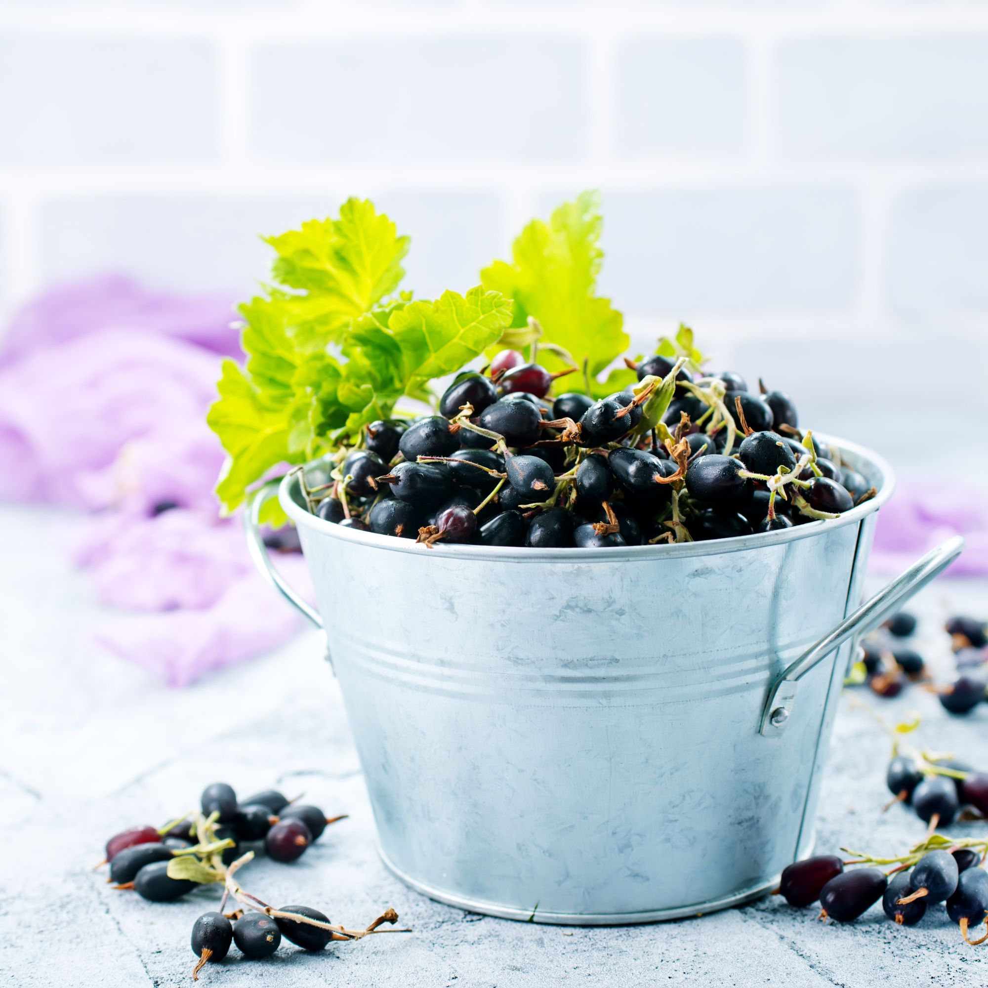 Parfum pour bougies &ndash; Cassis musqu&eacute; &mdash; vue 3