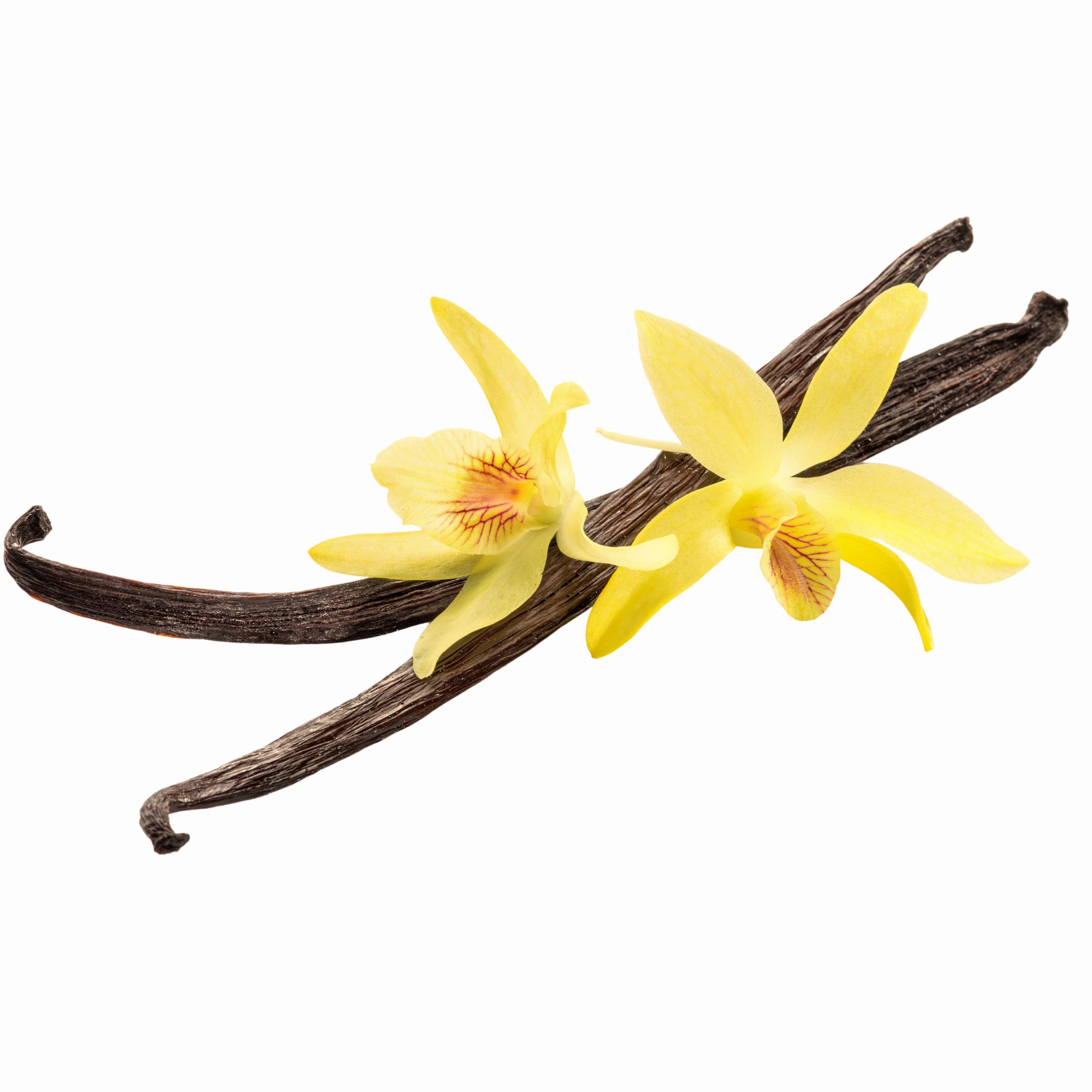 Parfum pour bougies – Vanille de Madagascar — vue 3