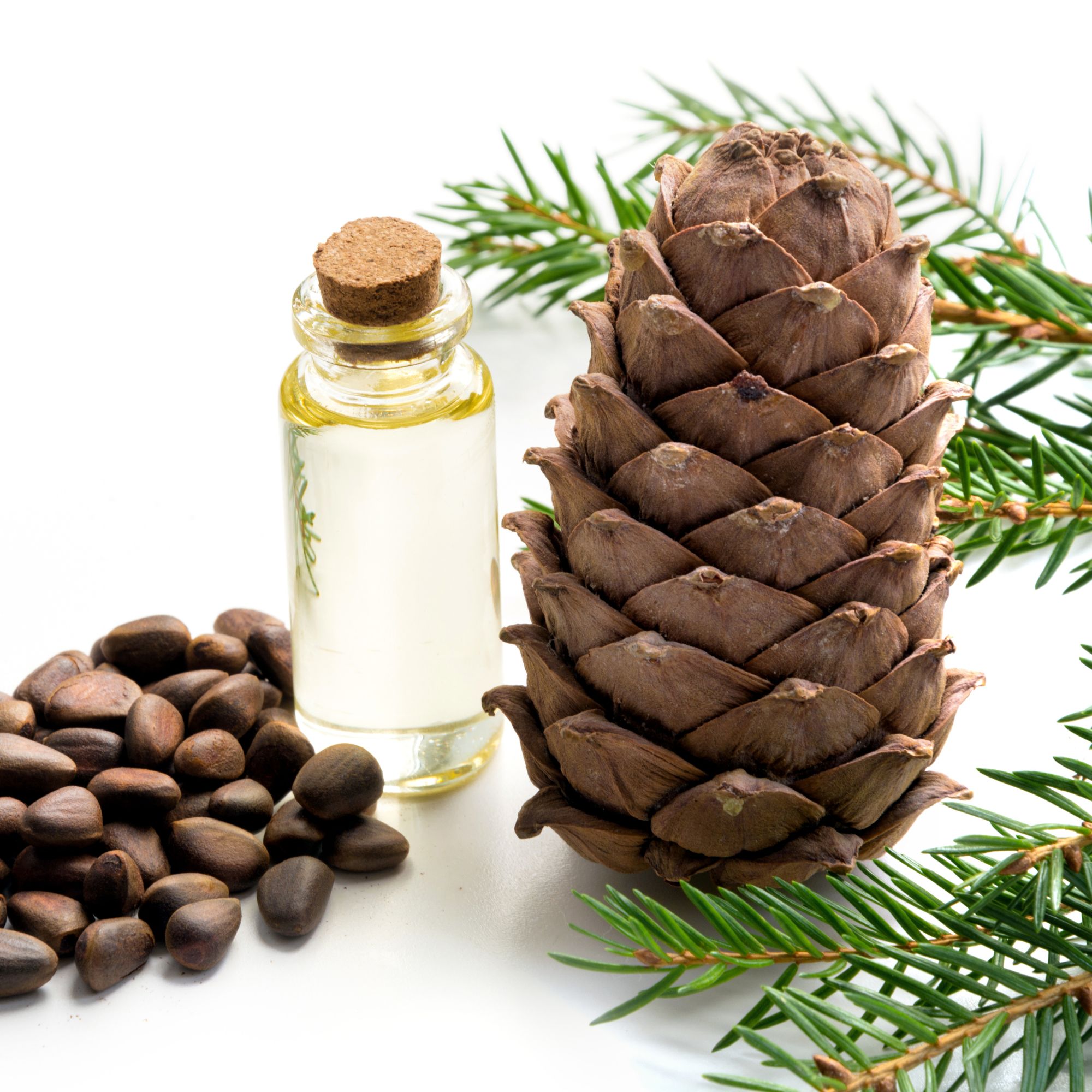 Parfum pour bougies &ndash; C&egrave;dre &mdash; vue 3
