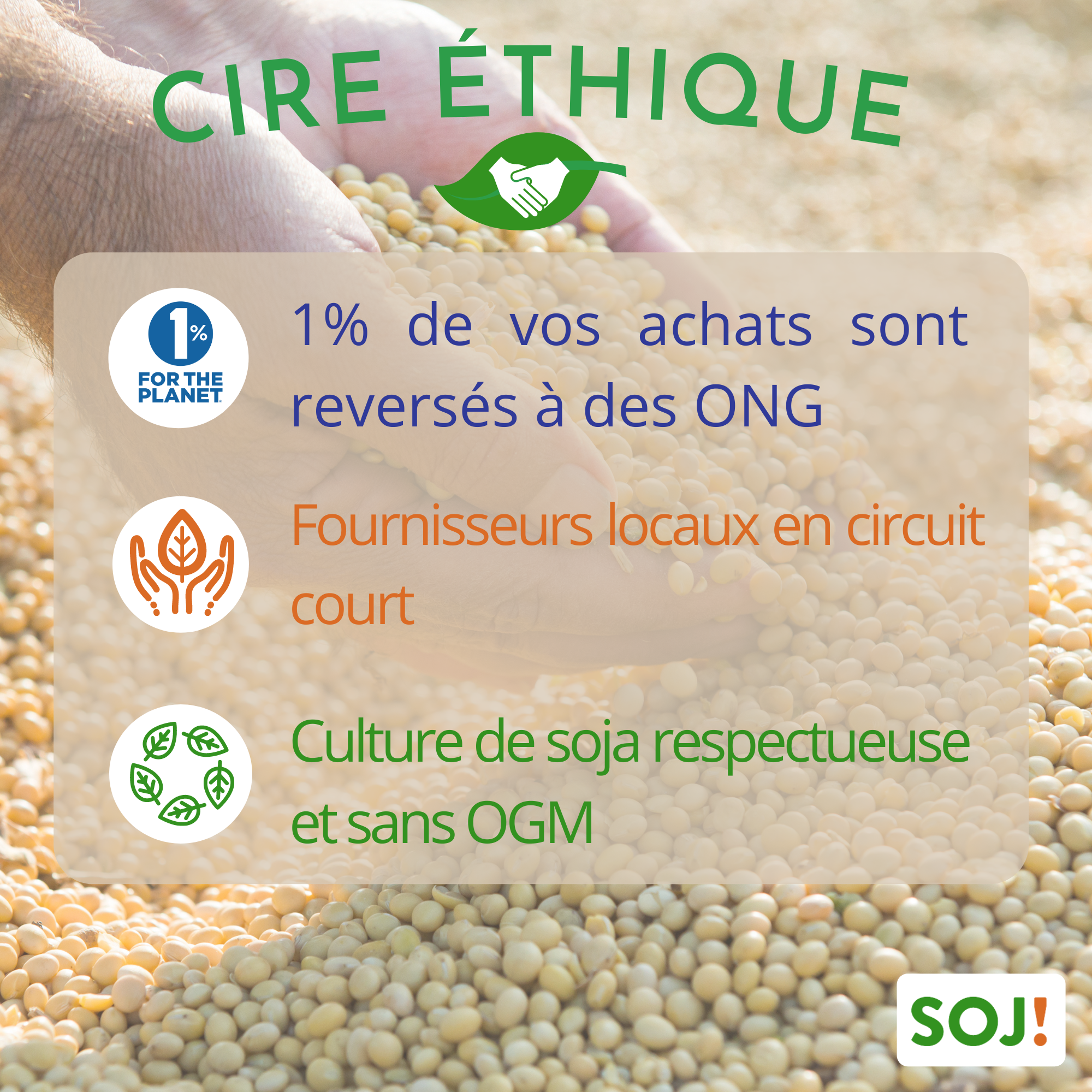 Cire de soja pour bougies moul&eacute;es et pour fondants &ndash; SANS OGM &mdash; vue 4