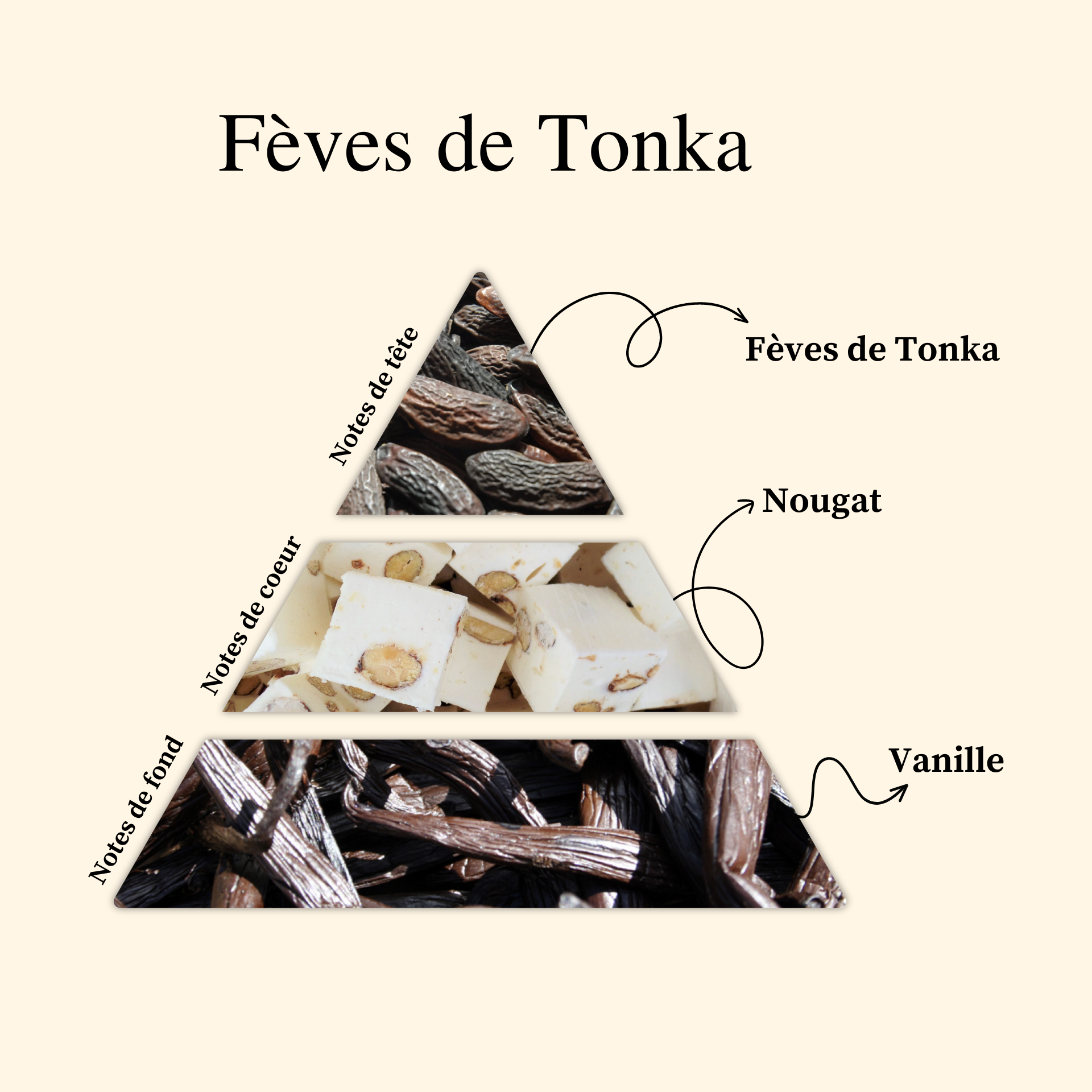 Parfum pour bougies &ndash; F&ecirc;ve de Tonka &mdash; vue 2
