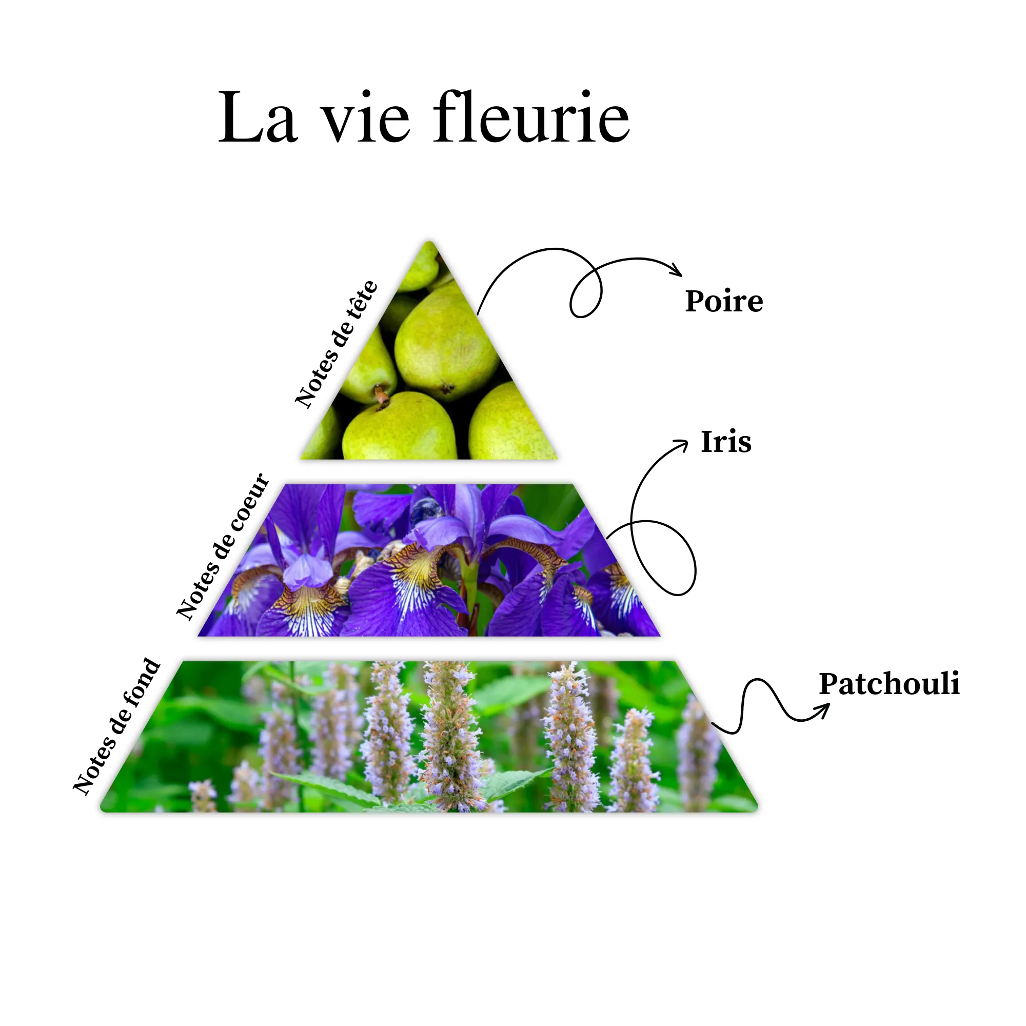 Parfum pour bougies &ndash; Pavot de nuit &mdash; vue 3