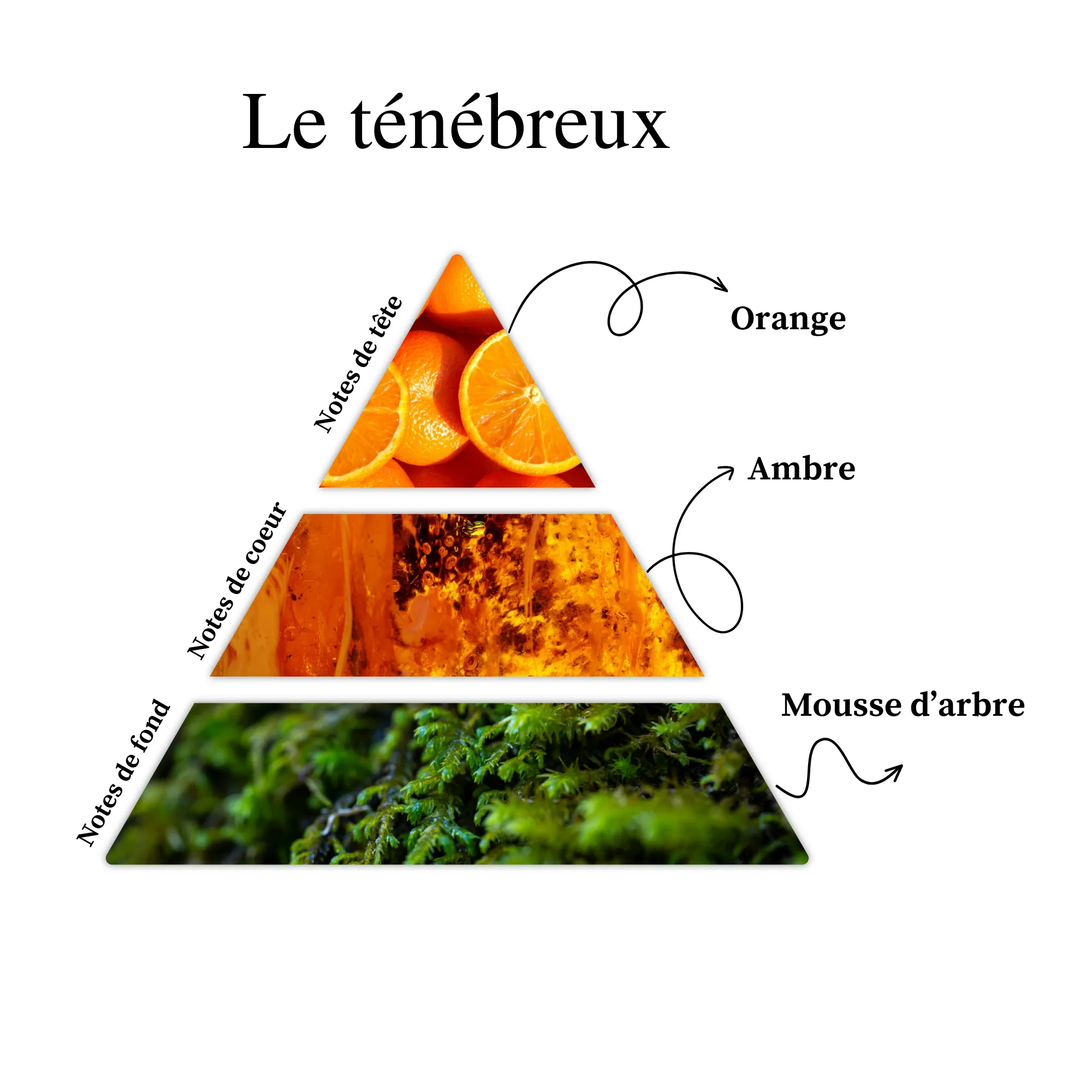 Parfum pour bougies &ndash; Le t&eacute;n&eacute;breux &mdash; vue 2