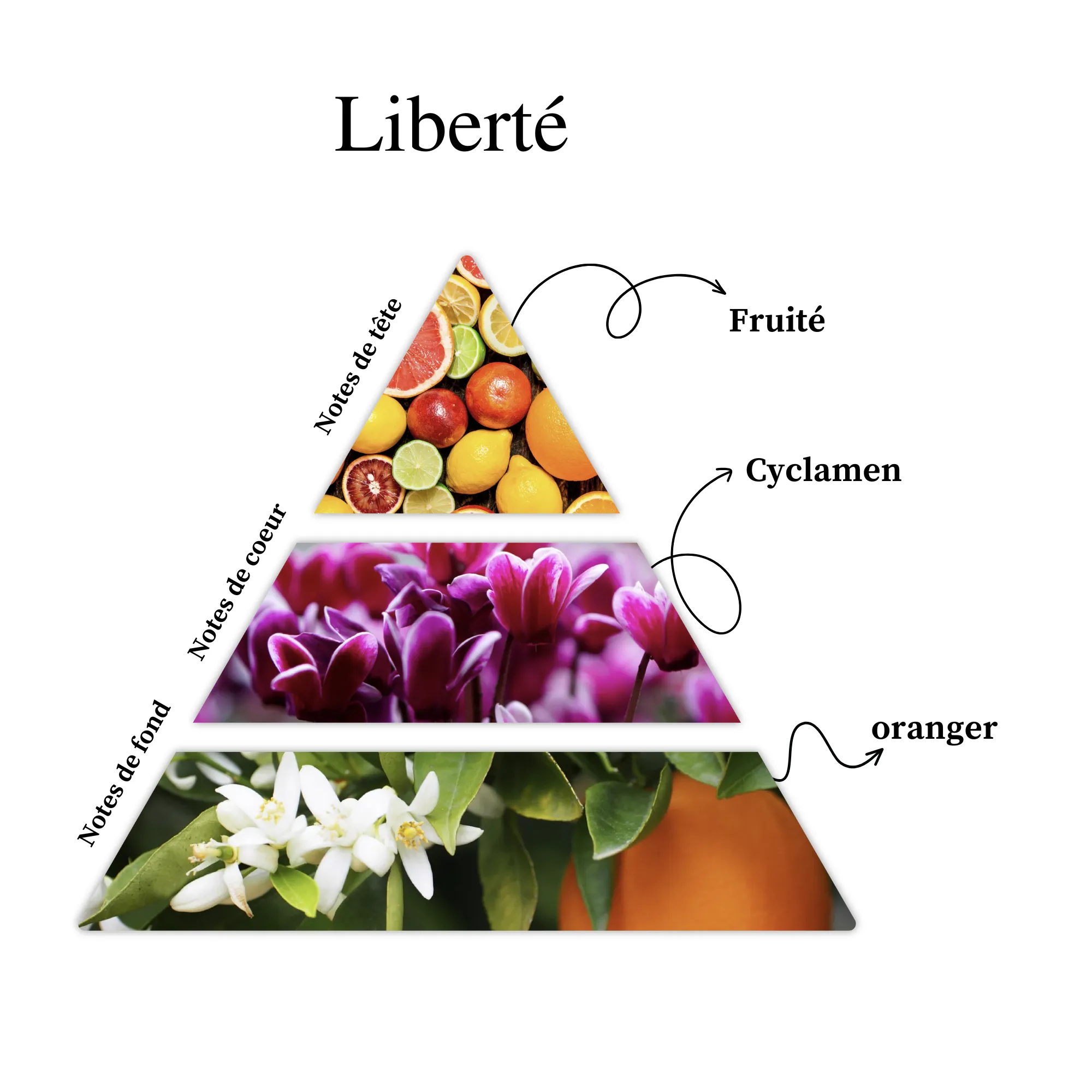 Parfum pour bougies &ndash; Libert&eacute; &mdash; vue 2
