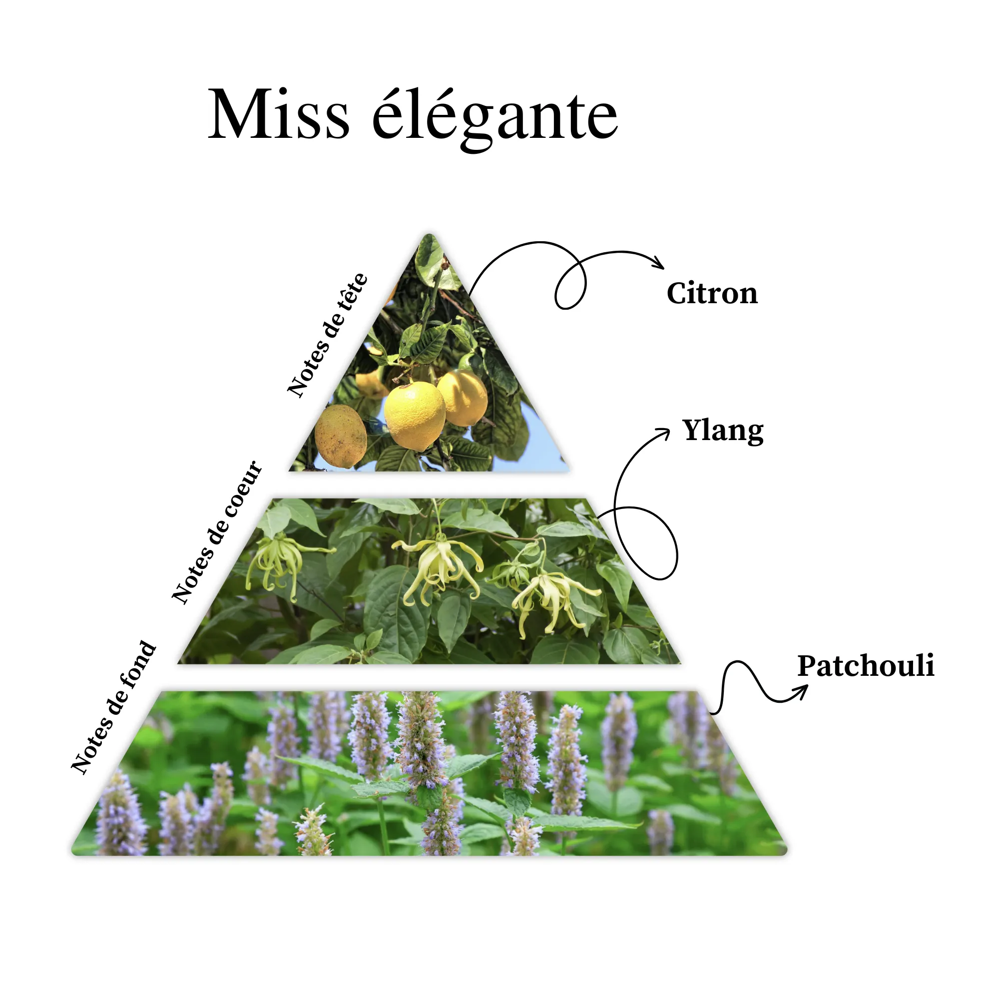 Parfum pour bougies &ndash; Miss &eacute;l&eacute;gante &mdash; vue 2