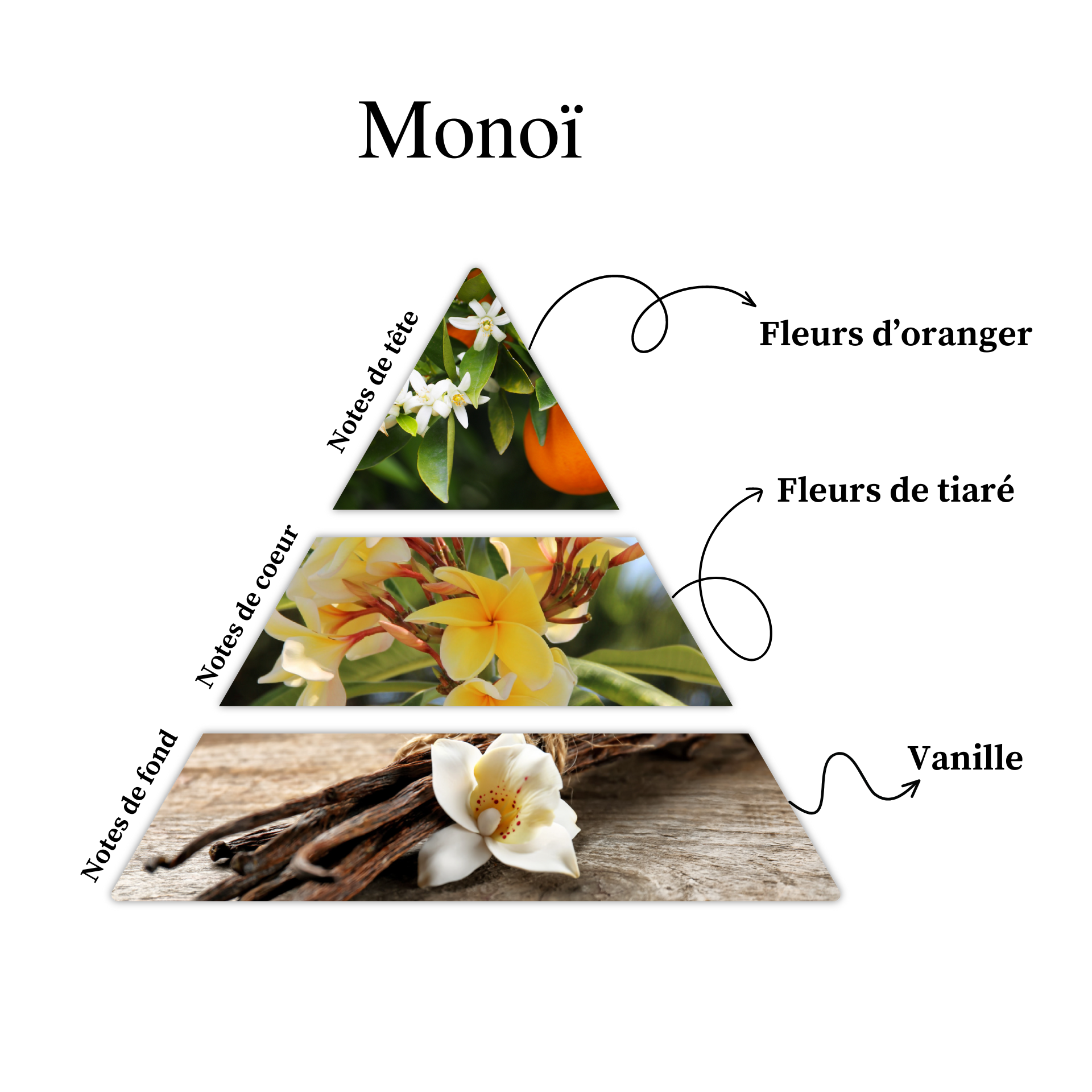 Parfum pour bougies &ndash; Mono&iuml; &mdash; vue 2