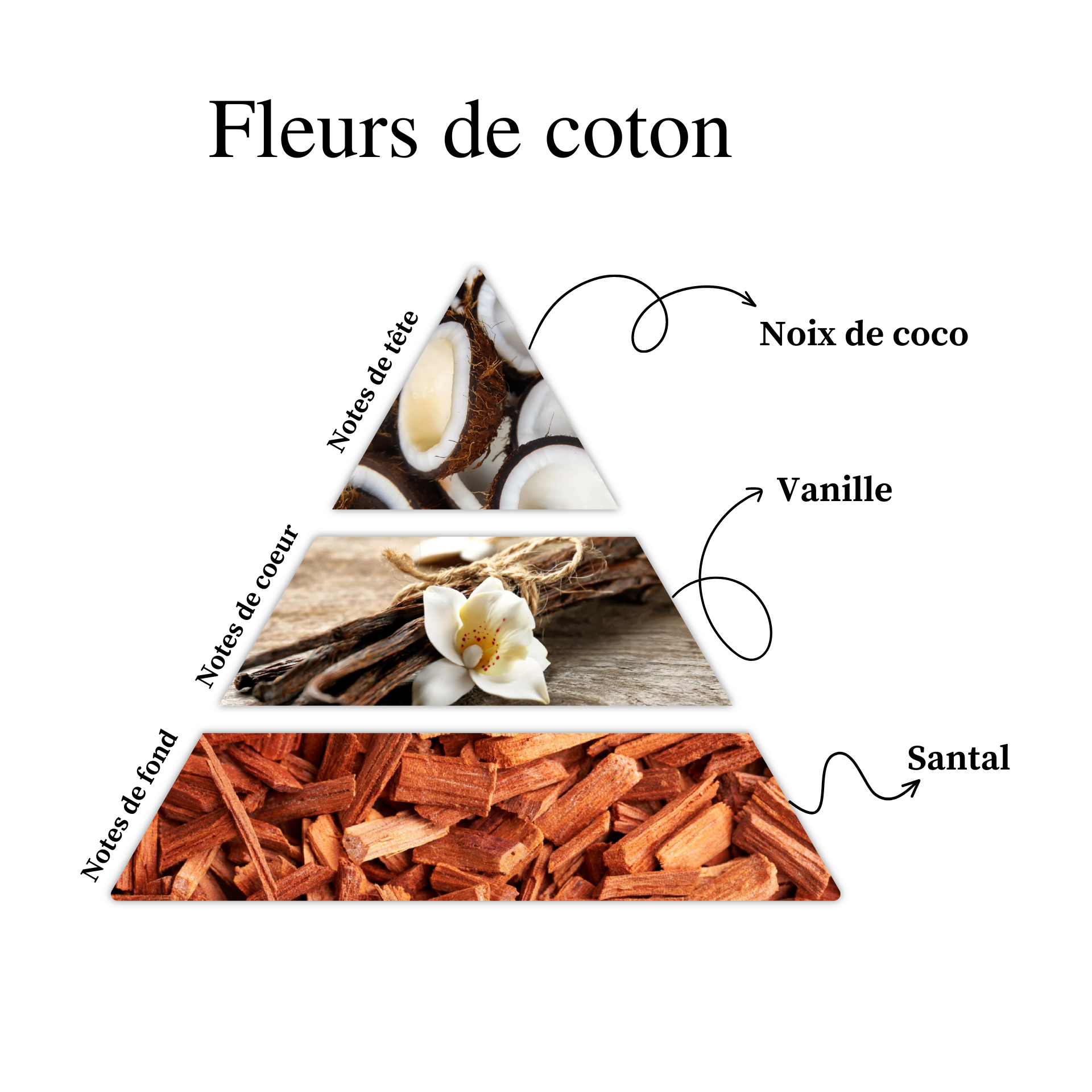 Parfum pour bougies –  Fleurs de coton — vue 2