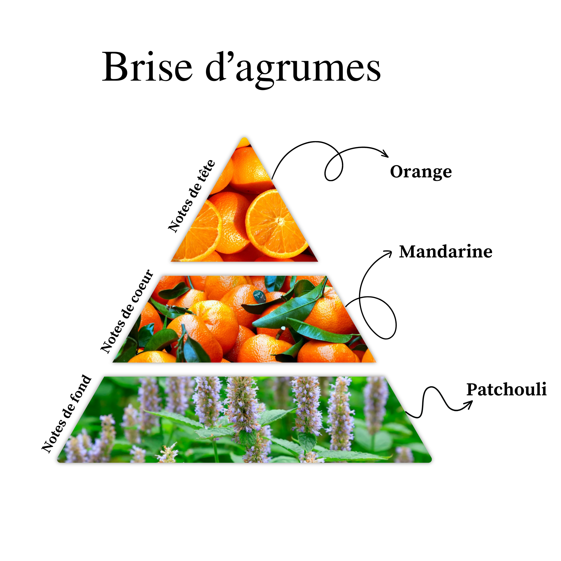 Parfum pour bougies &ndash; Brise d'agrumes &mdash; vue 2