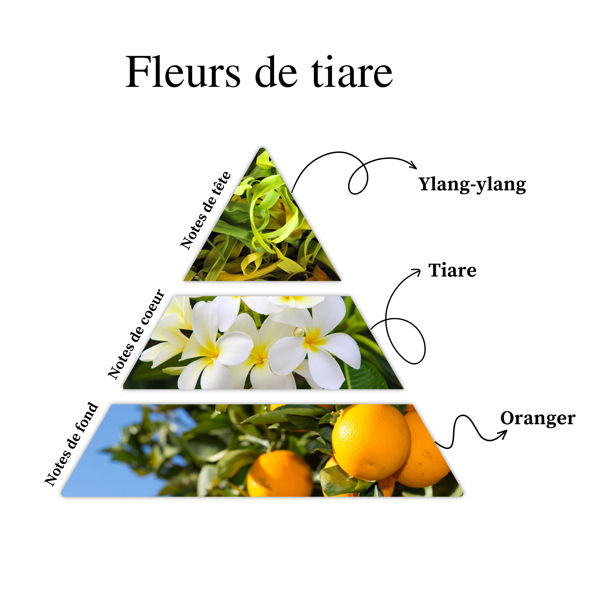 Parfum pour bougies &ndash; Fleur de Tiare &mdash; vue 2