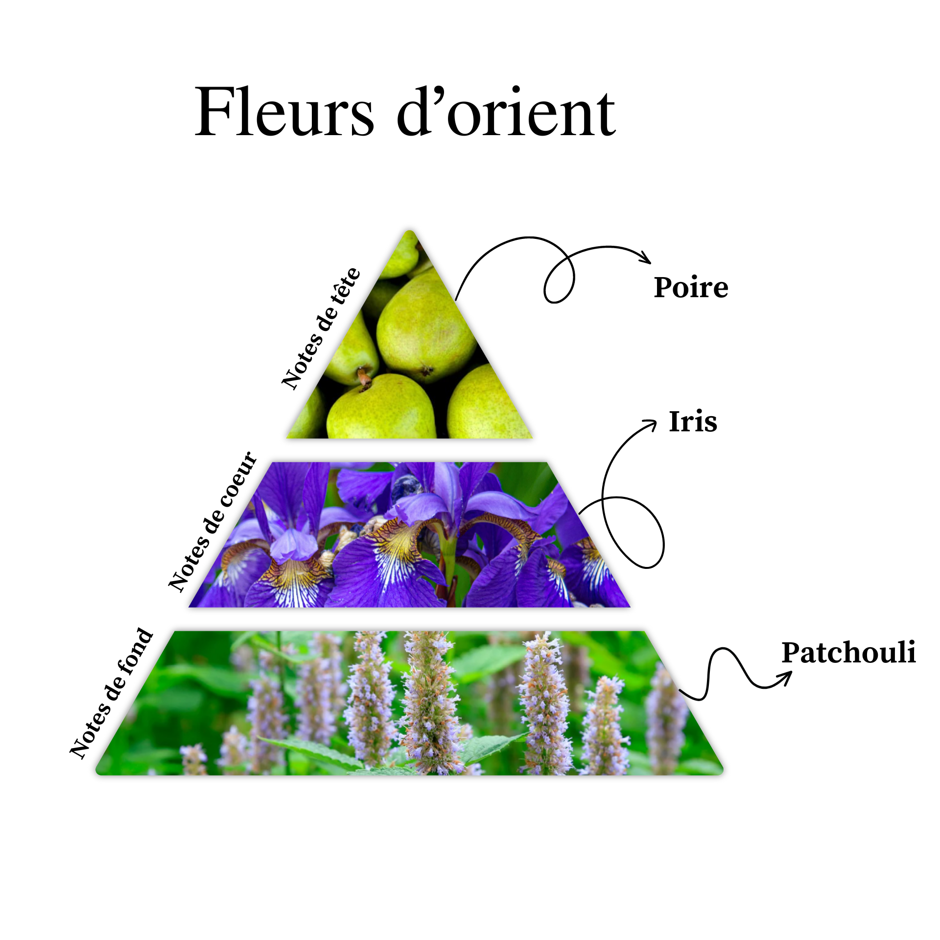 Parfum pour bougies &ndash; Fleurs d&rsquo;Orient &mdash; vue 2