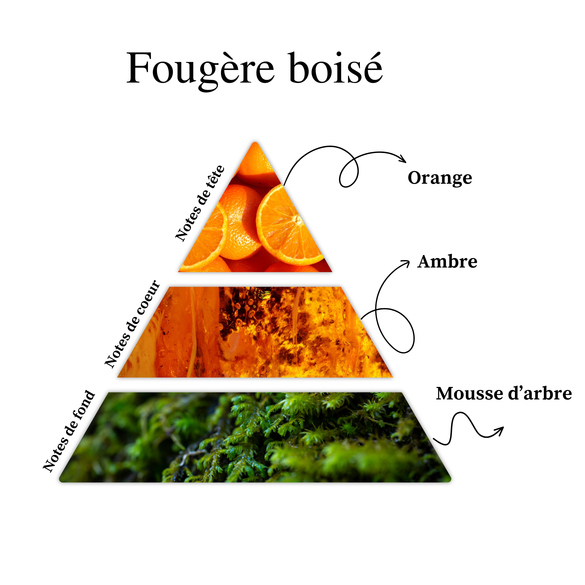 Parfum pour bougies &ndash; Foug&egrave;re bois&eacute; &mdash; vue 2