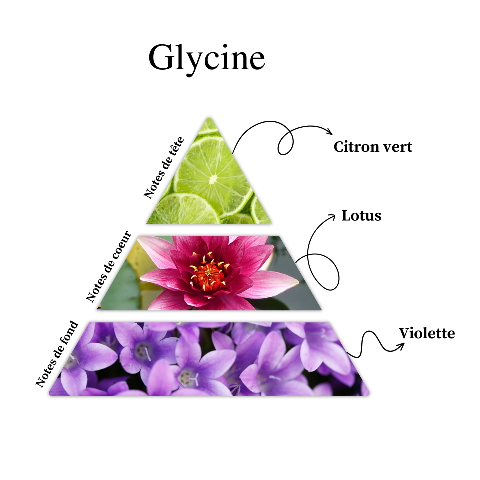 Parfum pour bougies - Glycine &mdash; vue 2