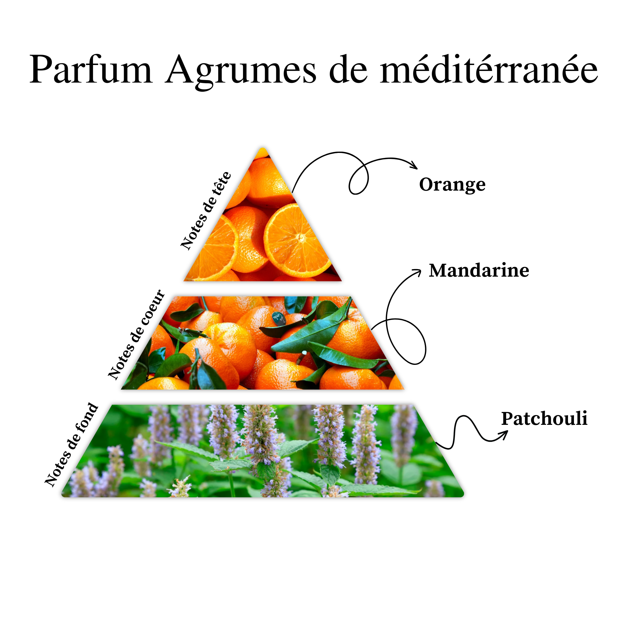 Parfum pour bougies &ndash; Agrumes de M&eacute;diterran&eacute;e &mdash; vue 2