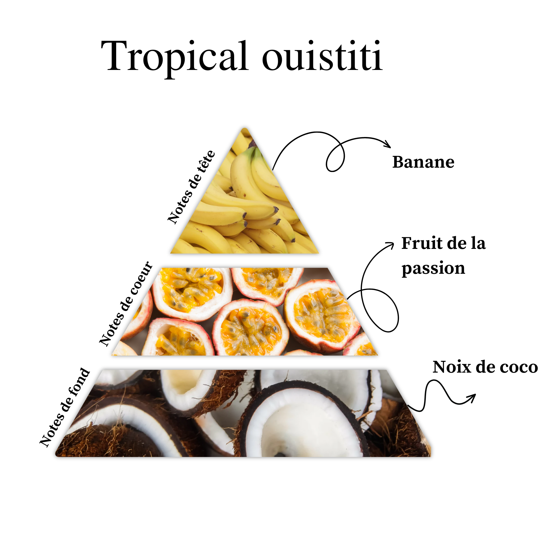 Parfum pour bougies &ndash; Tropical ouistiti &mdash; vue 2