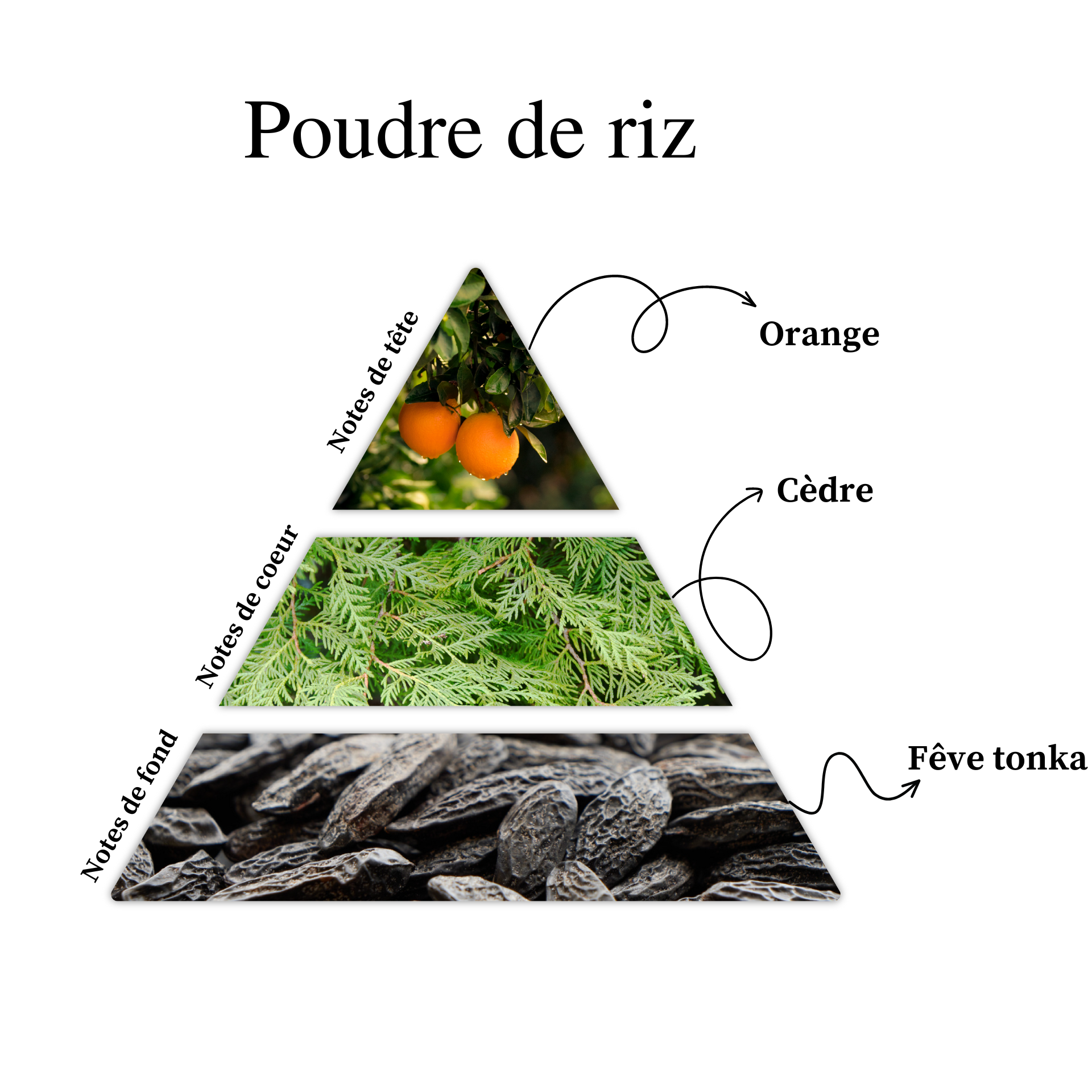 Parfum pour bougies &ndash; Poudre de riz &mdash; vue 2