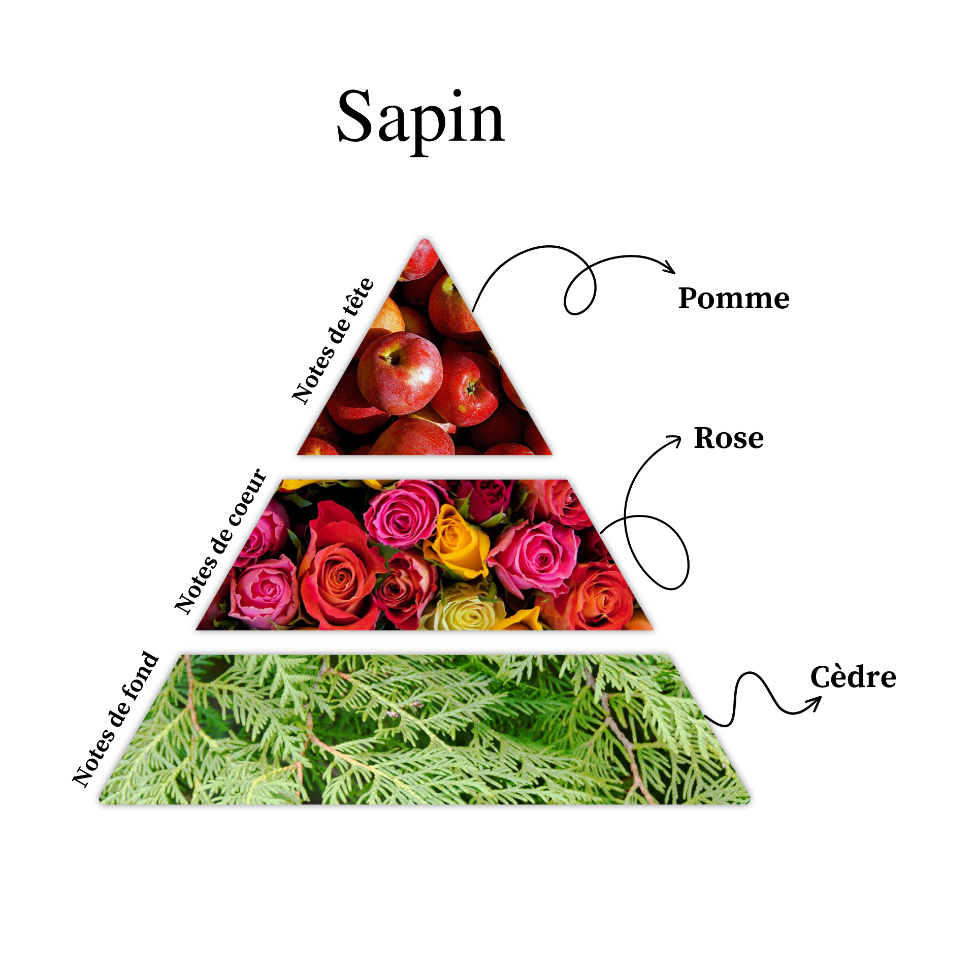 Parfum pour bougies &ndash; Sapin &mdash; vue 2