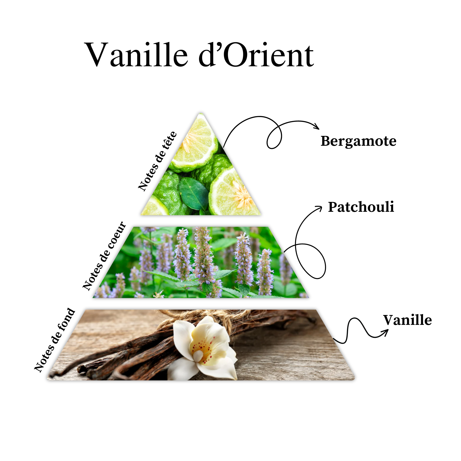 Parfum pour bougies &ndash; Vanille d&rsquo;Orient &mdash; vue 2