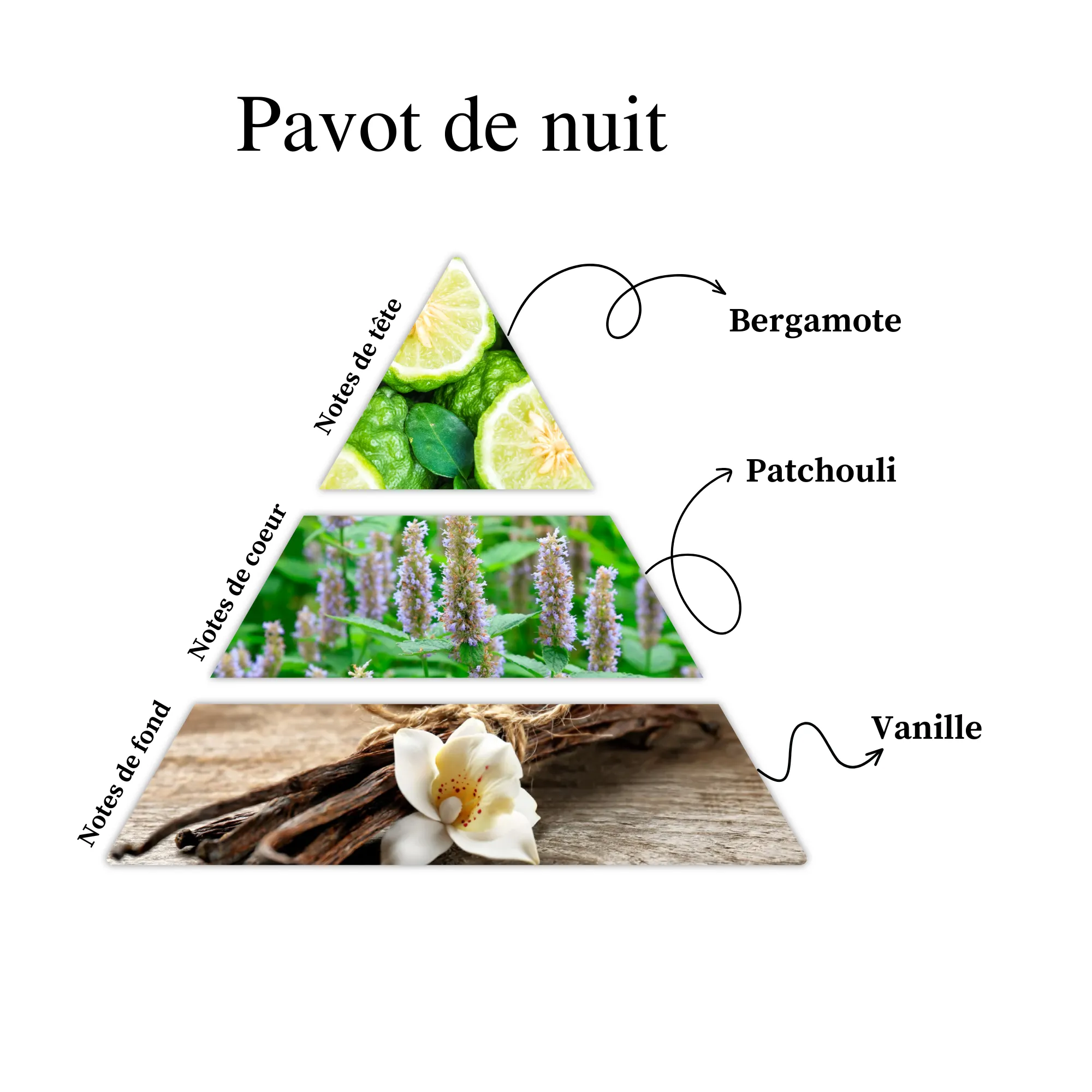 Parfum pour bougies &ndash; Pavot de nuit &mdash; vue 2