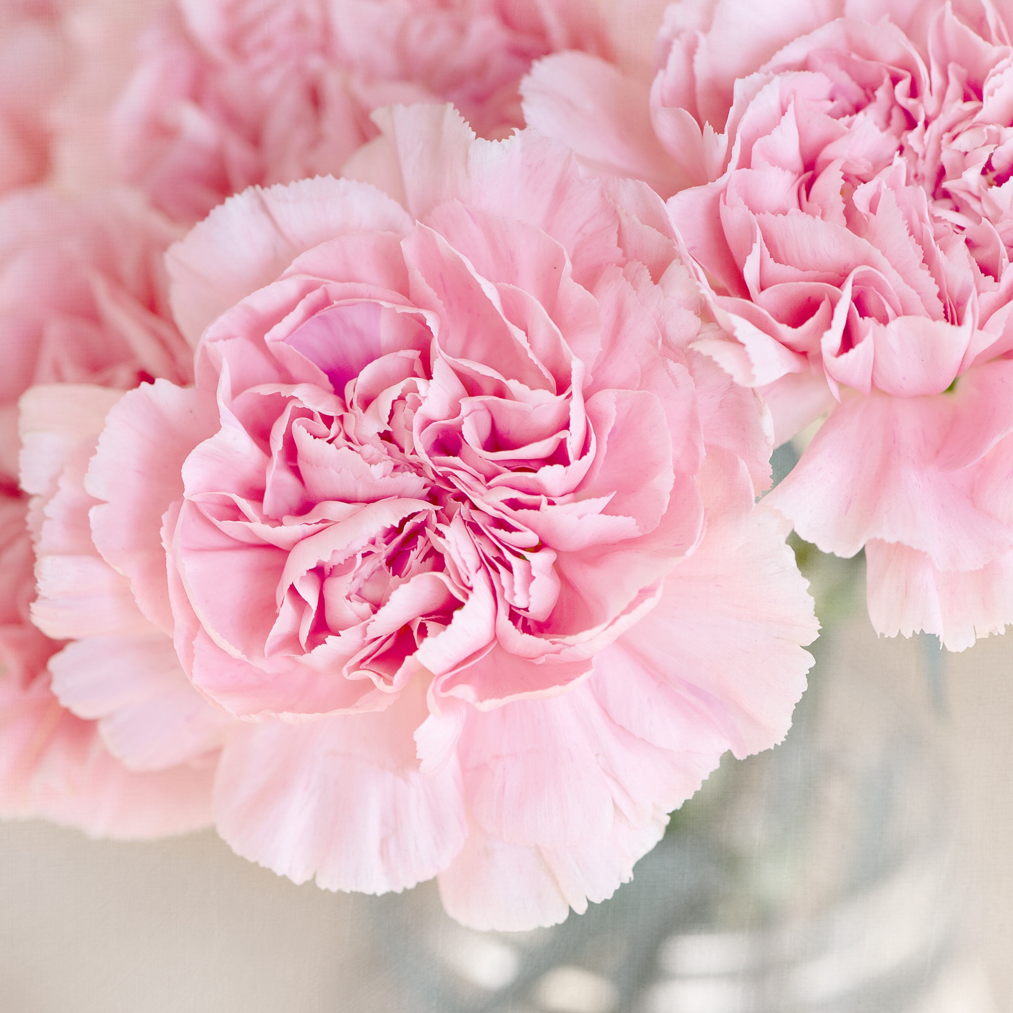 Parfum pour bougies &ndash; Rose &mdash; vue 3