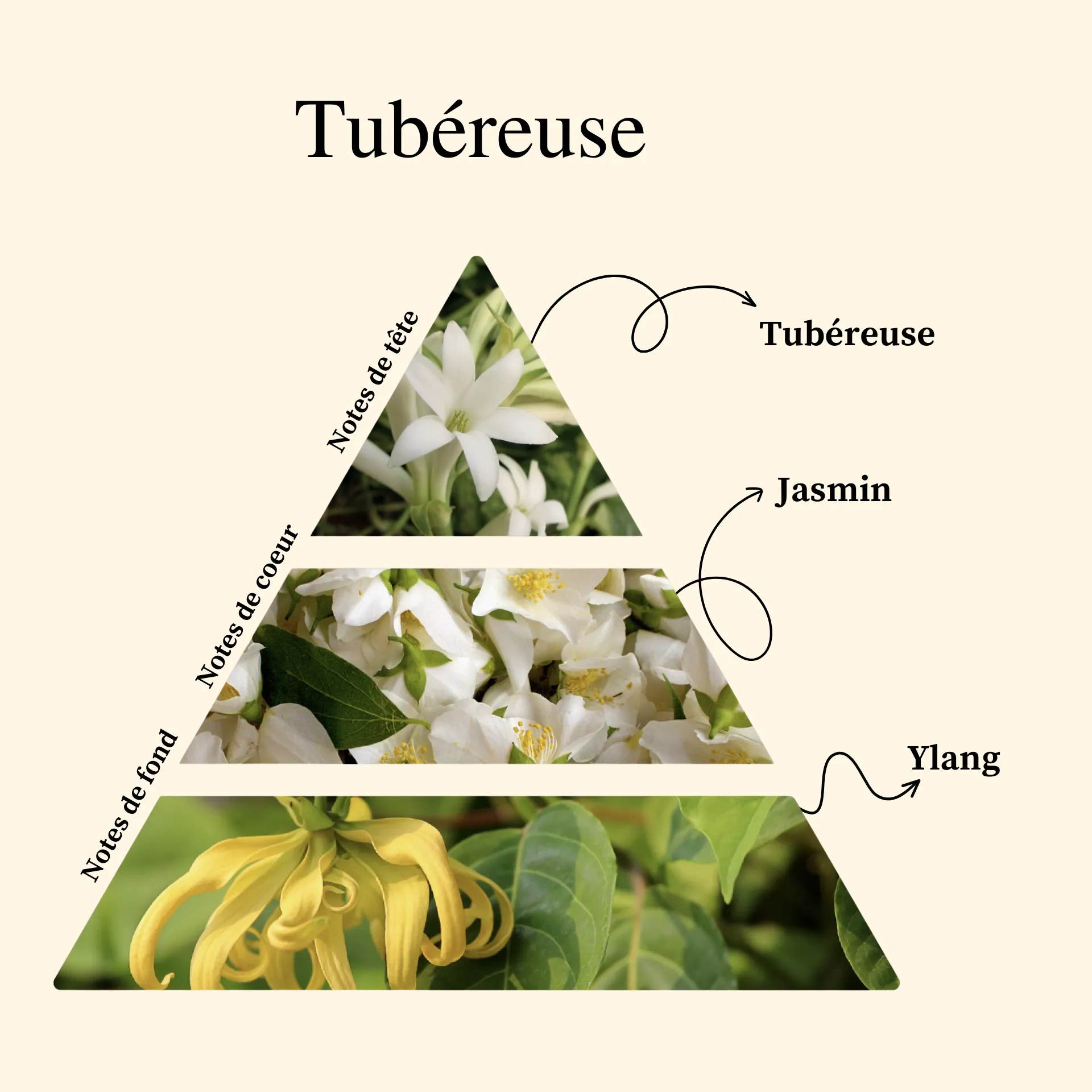 Parfum pour bougies &ndash; Tub&eacute;reuse &mdash; vue 2