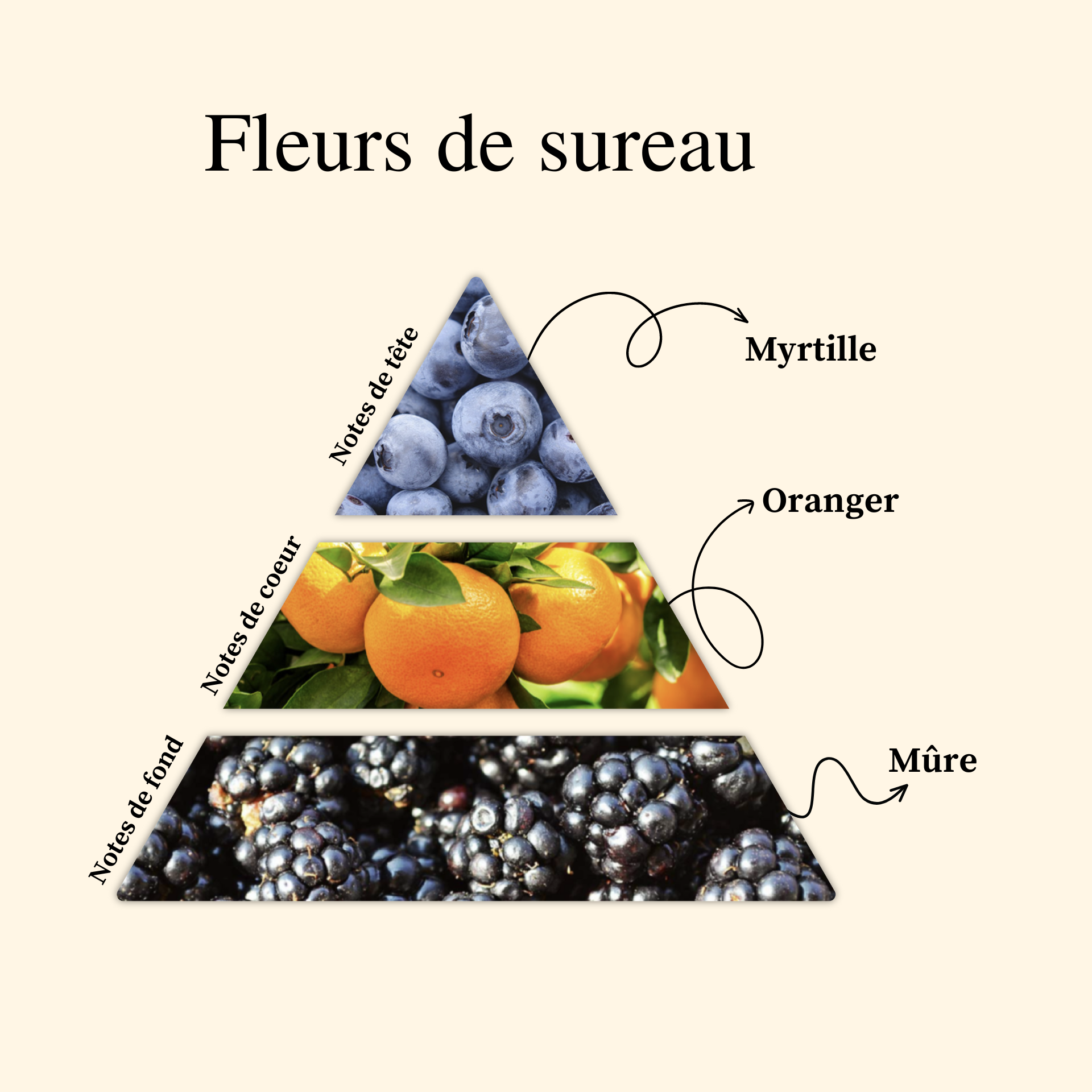 Parfum pour bougies &ndash; Fleurs de Sureaux &mdash; vue 2