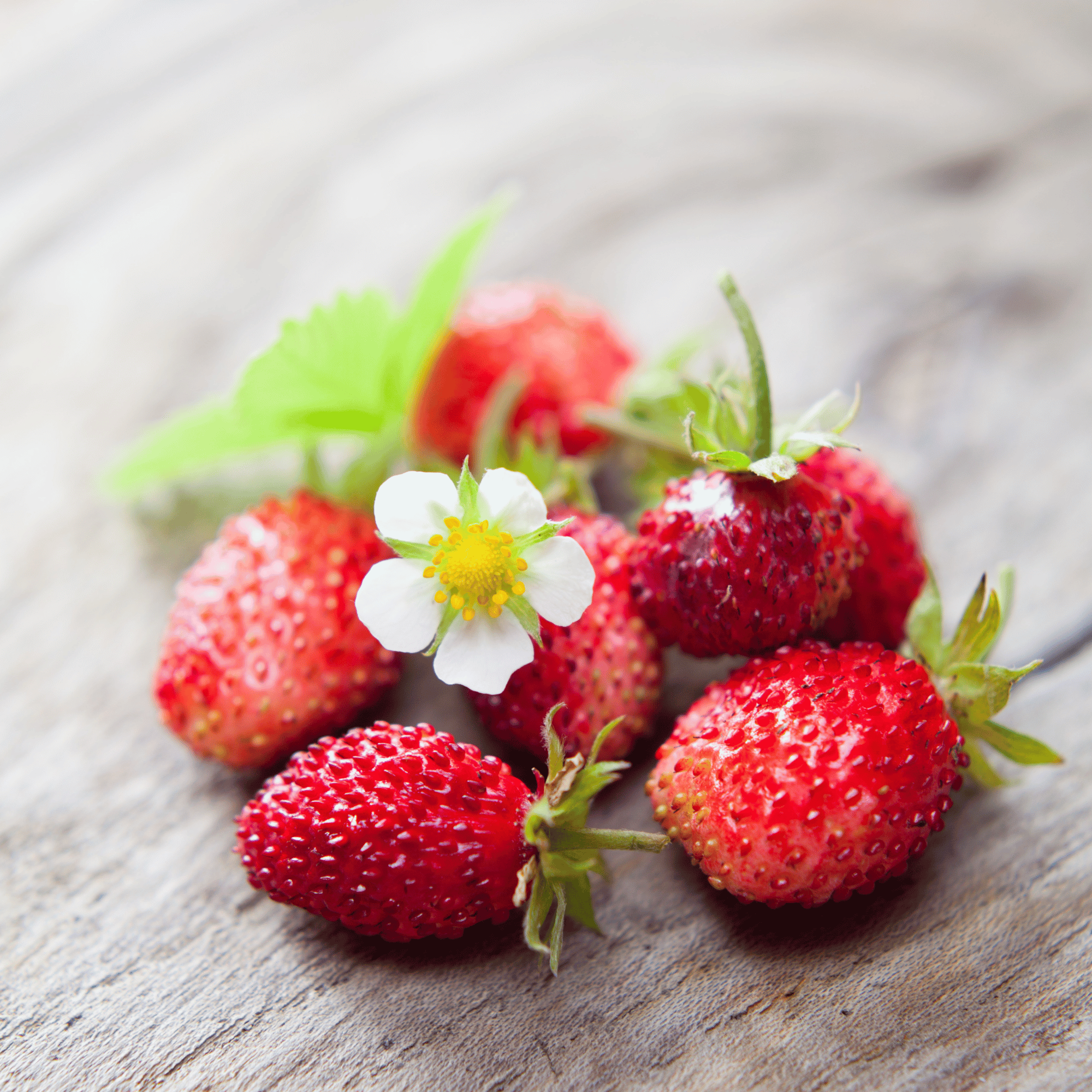 Parfum pour bougies &ndash; Fraise des bois &mdash; vue 2