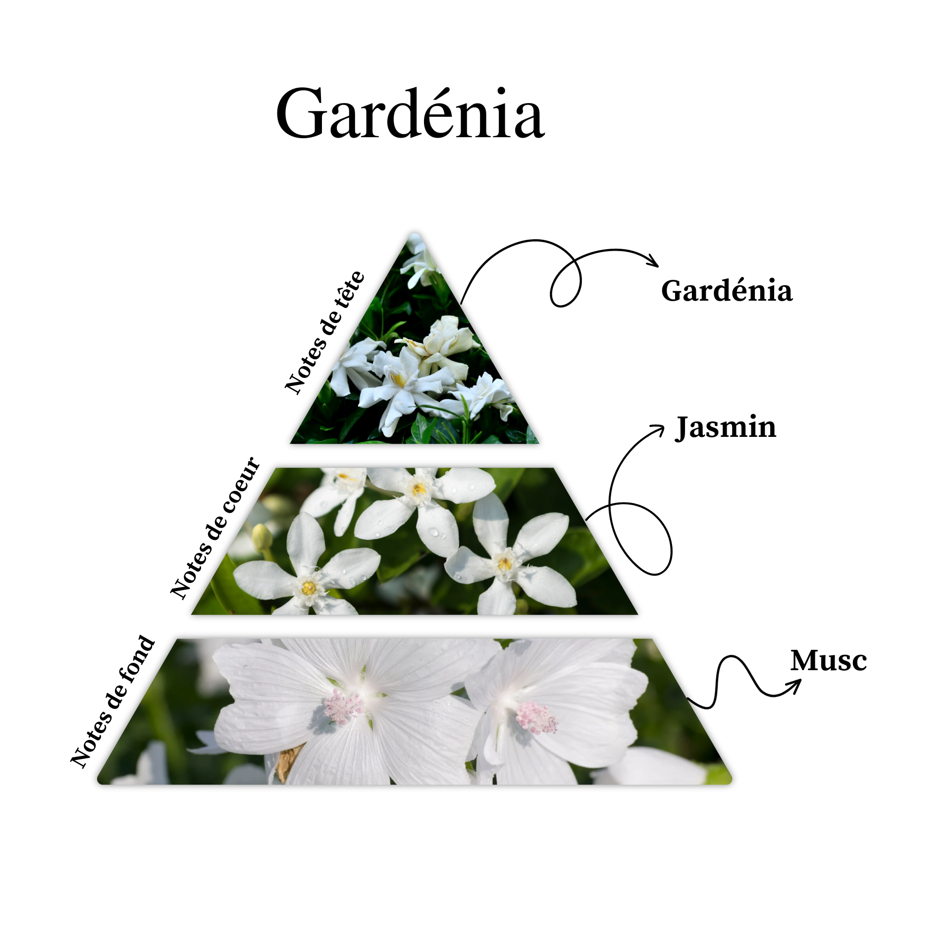 Parfum pour bougies – Gardenia — vue 2