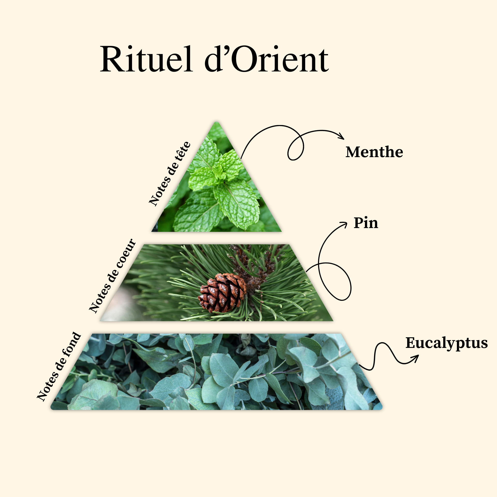 Parfum pour bougies &ndash; Rituel d&rsquo;Orient &mdash; vue 2