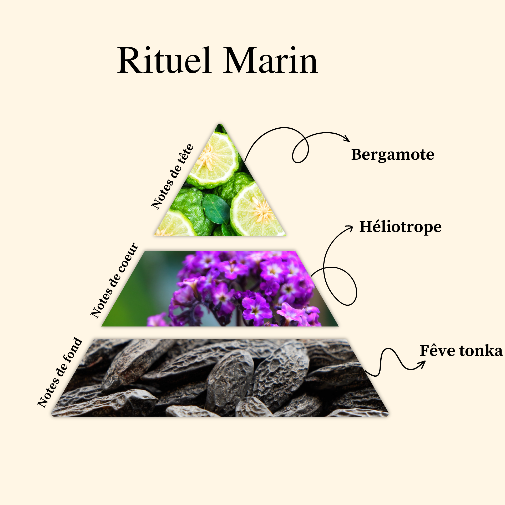Parfum pour bougies &ndash; Rituel marin &mdash; vue 2